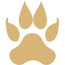 Coingabbar logo
